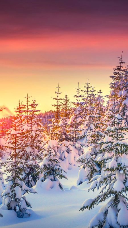 Beautiful Nature image