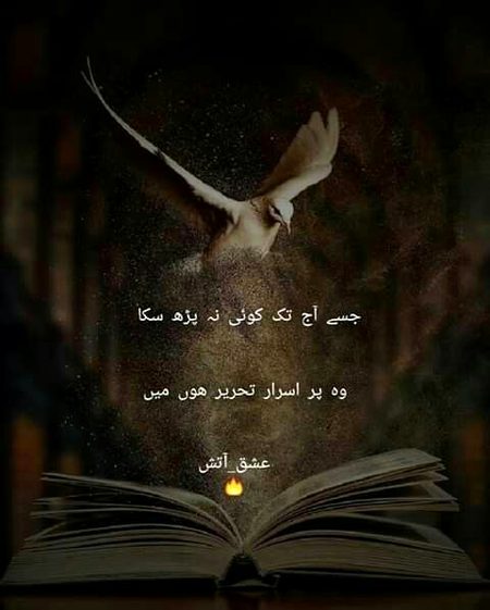 Attitude Poetry image