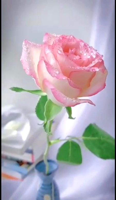 Beautiful Nature image