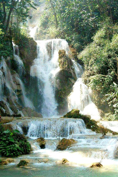 Beautiful Nature image