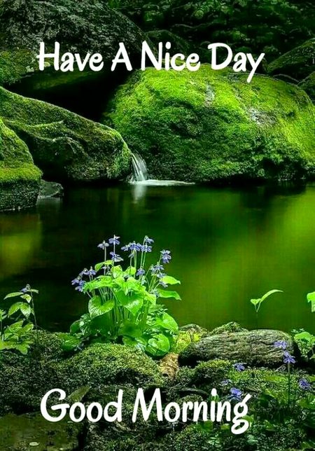 Beautiful Nature image