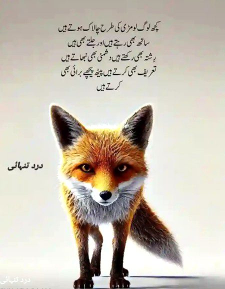 Life Advice image