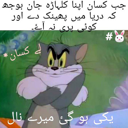 Memes & Satire image