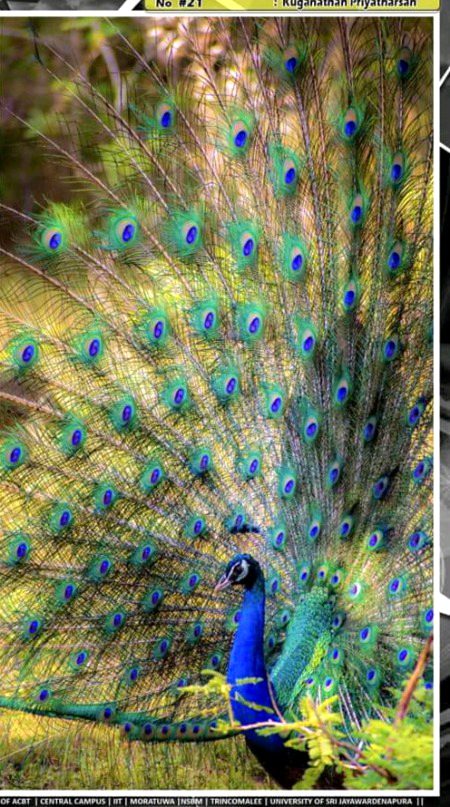 Beautiful Nature image