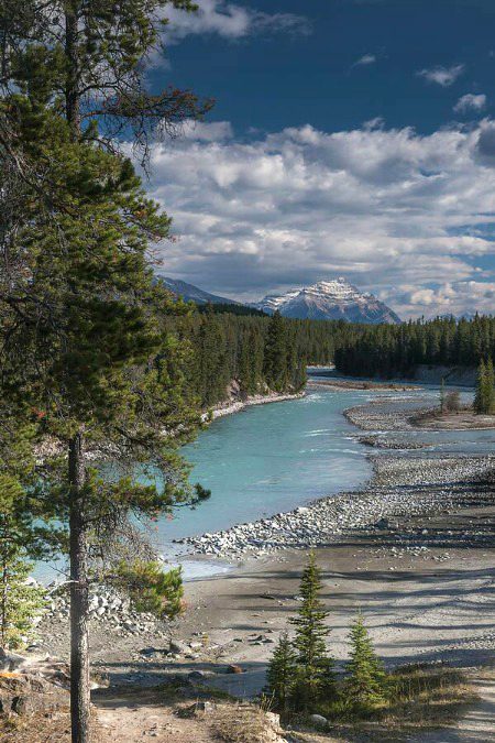 Beautiful Nature image