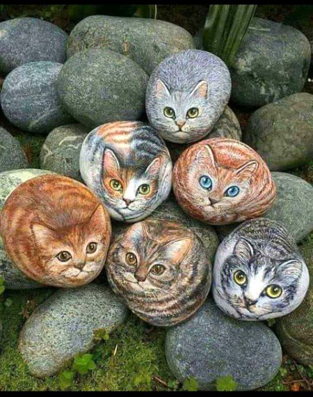 Beautiful Nature image