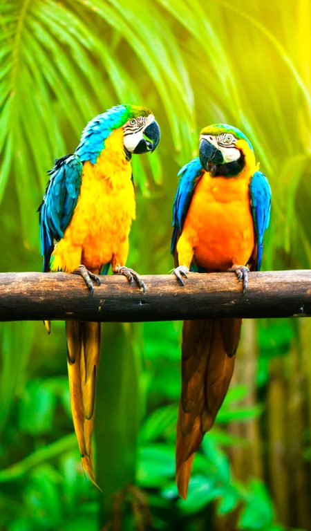 Beautiful Nature image
