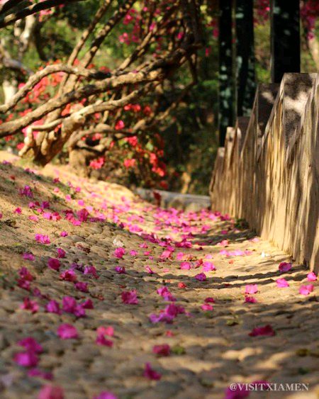 Beautiful Nature image