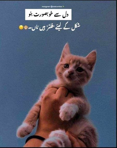 Life Advice image