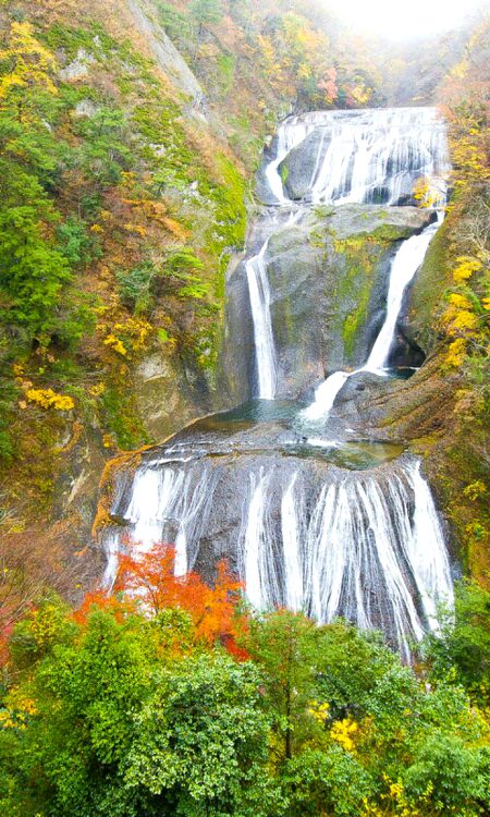 Beautiful Nature image