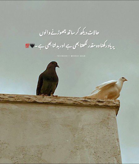 Social media post