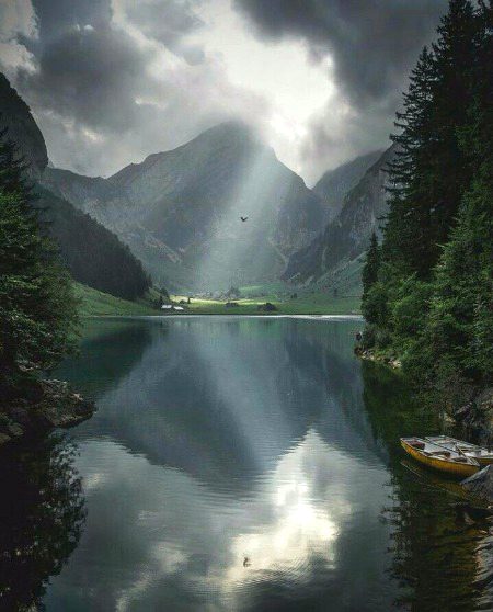 Beautiful Nature image