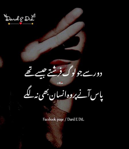 Attitude Poetry image