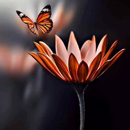 Beautiful Nature image