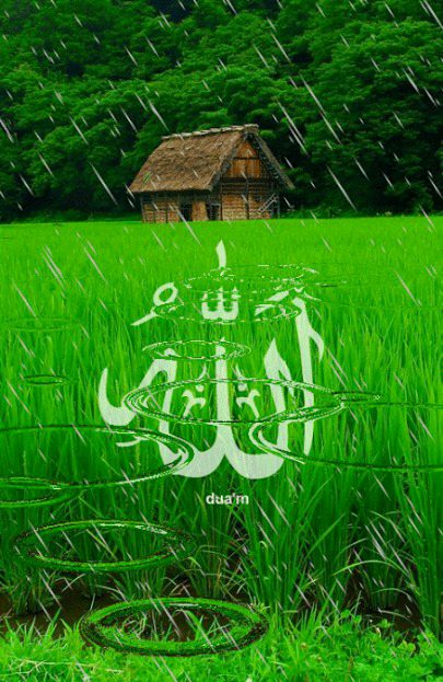 Islamic Quotes image