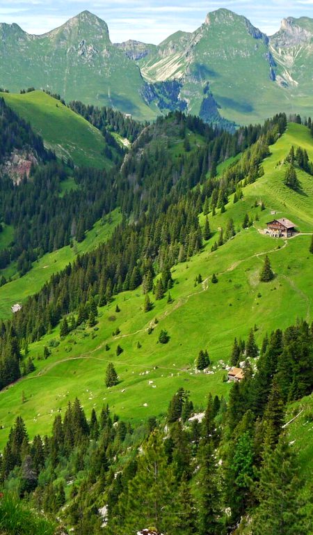 Beautiful Nature image