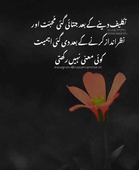 Attitude Poetry image