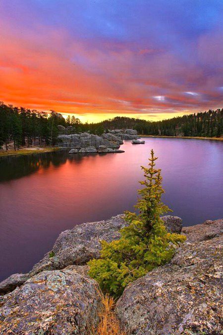 Beautiful Nature image