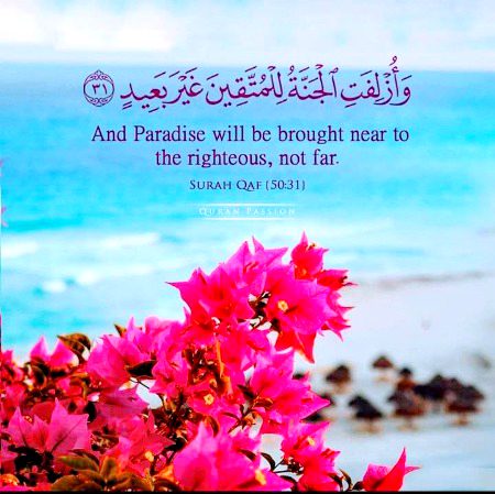 Islamic Quotes image