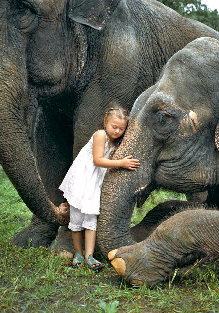 Beautiful Nature image