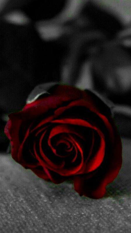 Beautiful Nature image