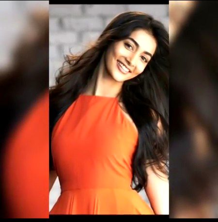 Indian Celebs image