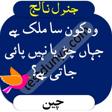 Knowledge Test image