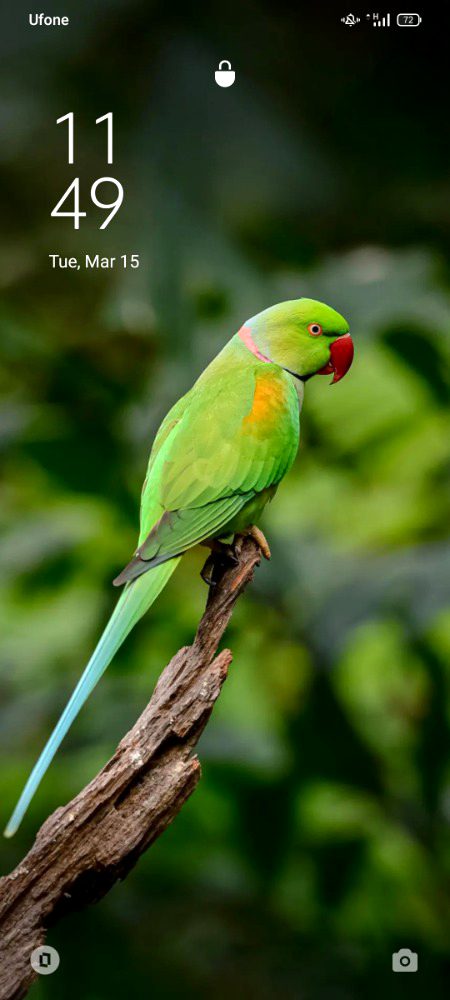 Beautiful Nature image