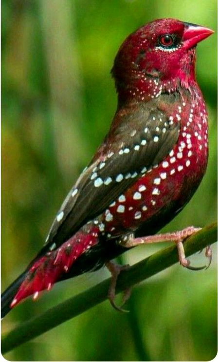 Beautiful Nature image