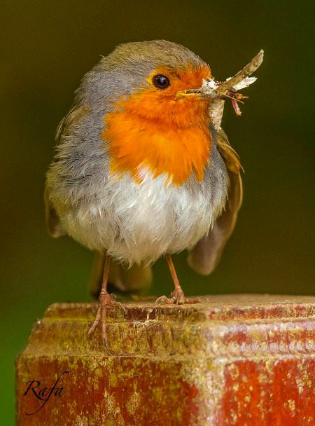 Beautiful Nature image