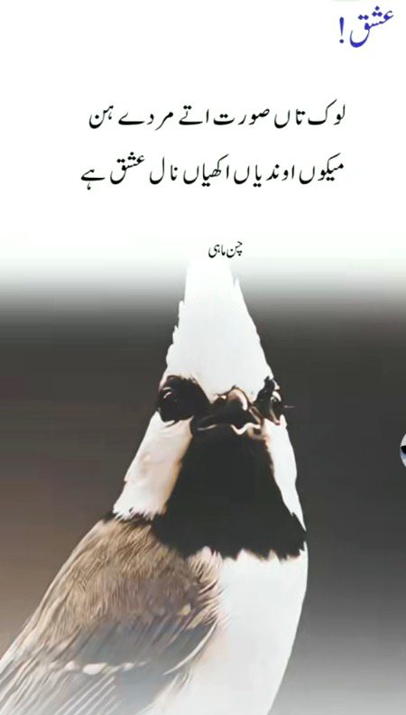 Romantic Poetry image