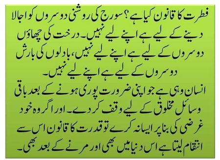 Islamic Quotes image