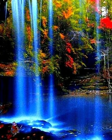 Beautiful Nature image