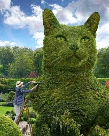 Beautiful Nature image