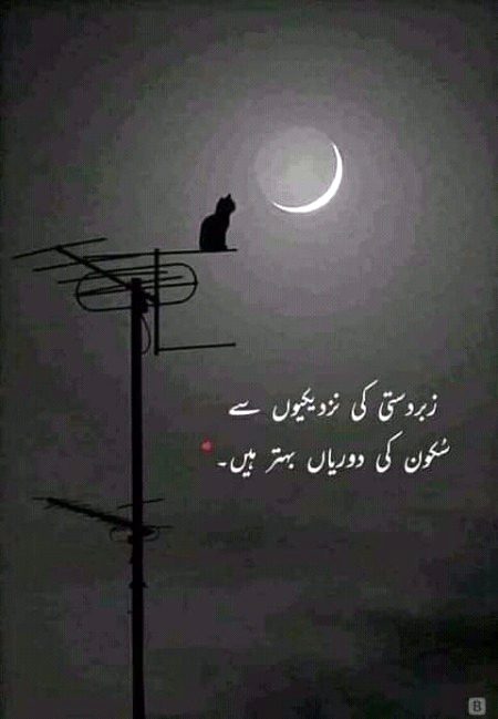 Social media post