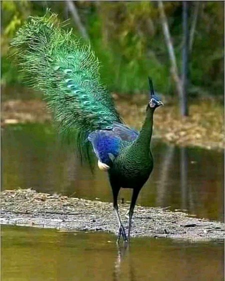 Beautiful Nature image