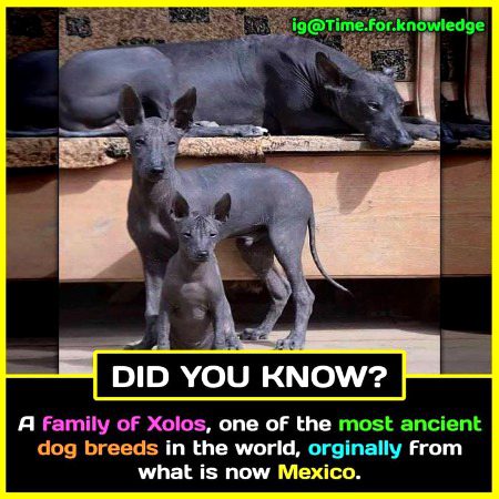 Interesting Posts image