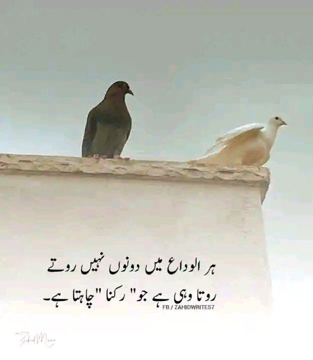 Sad Poetry image