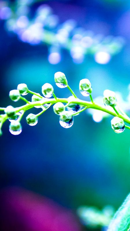 Beautiful Nature image