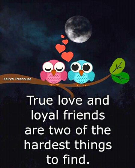 Life Advice image