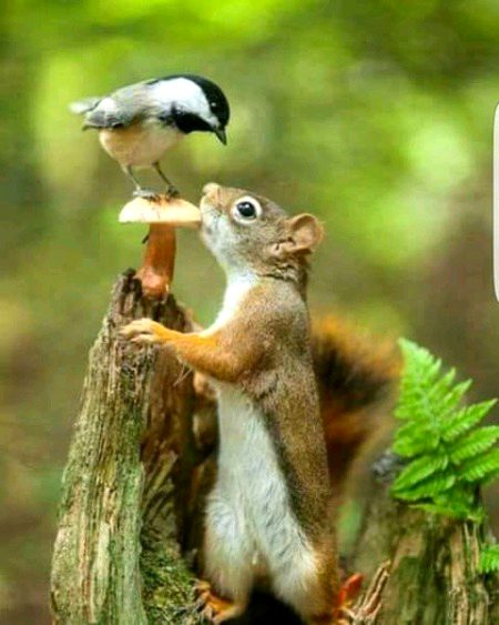 Beautiful Nature image