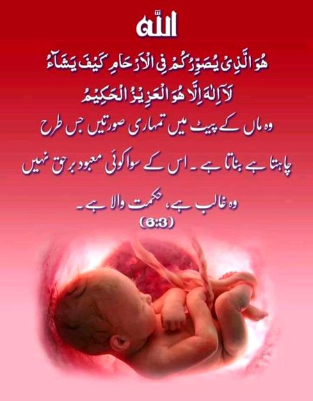 Islamic Quotes image