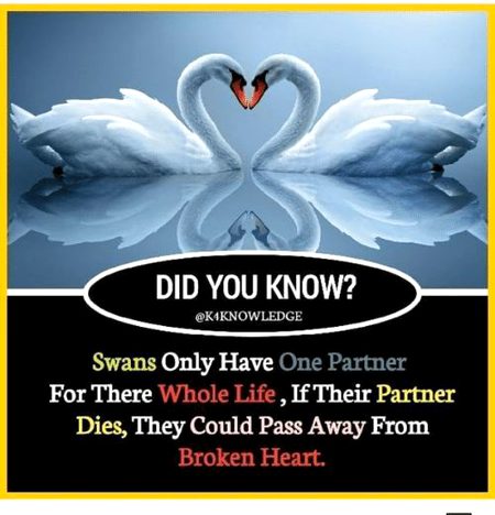 Interesting Posts image