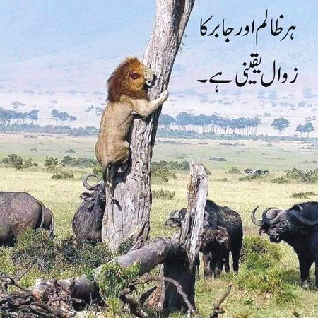 Social media post