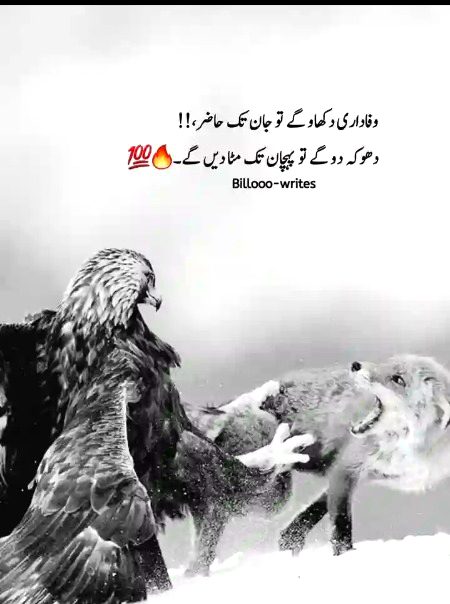 Attitude Quotes image