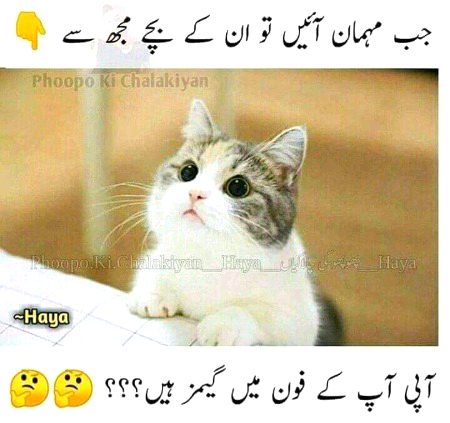 Memes & Satire image