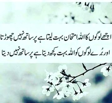 Social media post