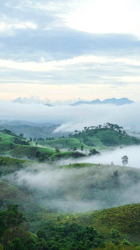 Beautiful Nature image