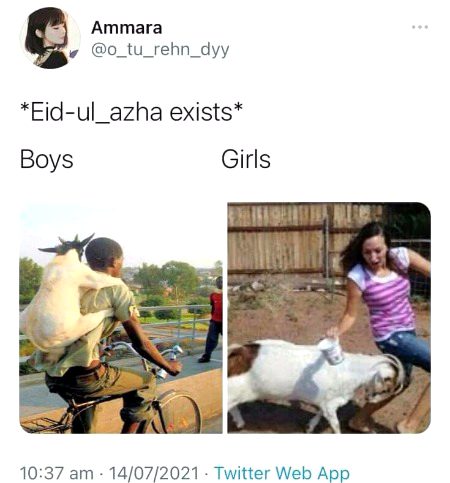 Memes & Satire image