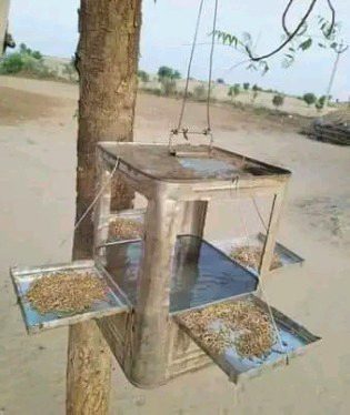 Beautiful Nature image